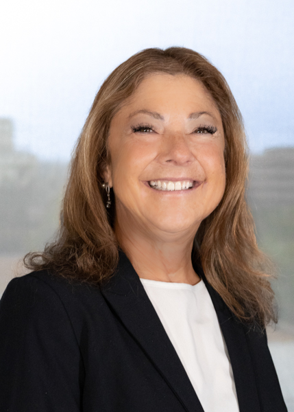 About ERP Advisors Group - ERP Consulting